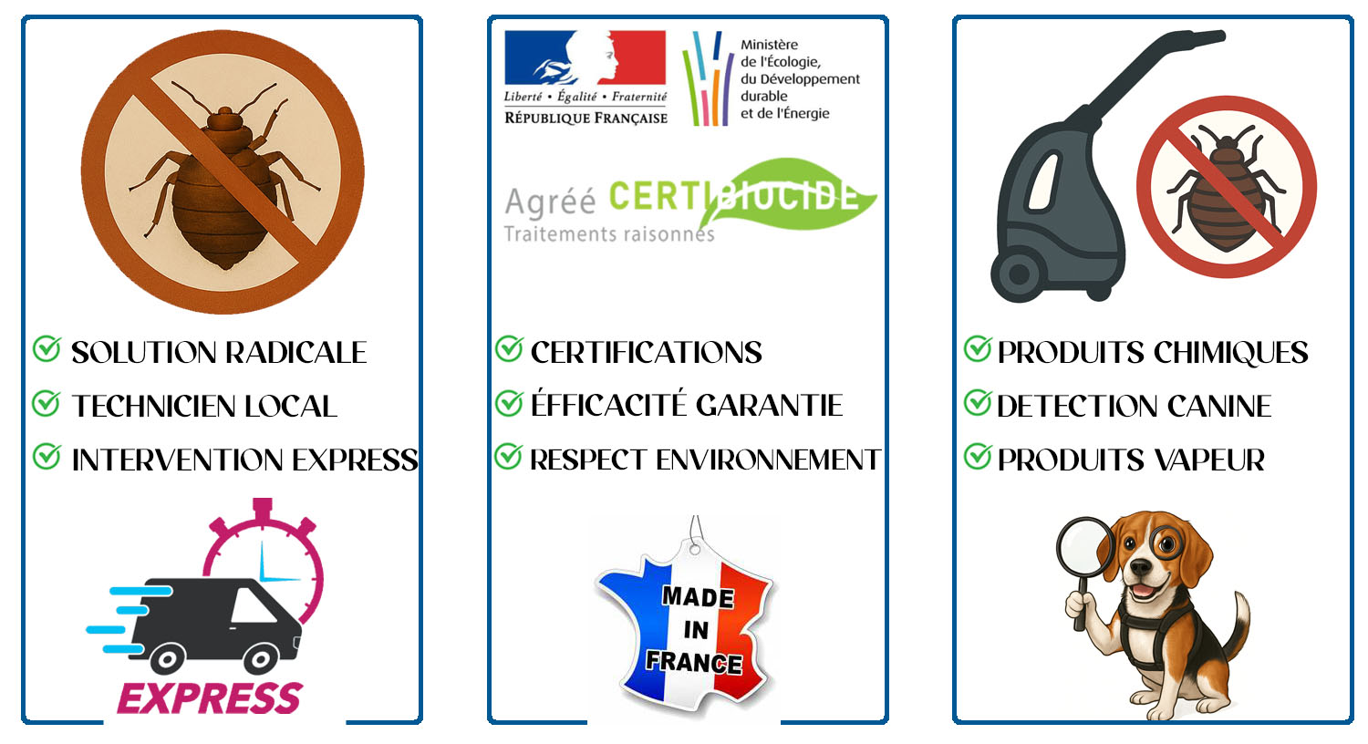 Punaises de Lit Issy les Moulineaux